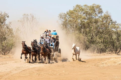 Cobb And Co Stagecoach Experience - Tourism Brisbane 0