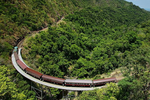 Kuranda Tour Deluxe Course With Kuranda 3 Zoos - Tourism Brisbane 6