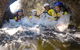 Behana Canyon Full-Day Guided Walking Tour - thumb 2