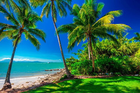 SHUTTLE - Port Douglas And Craiglie Return Transfer - Brisbane 4u 2