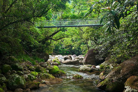 SHUTTLE - Mossman Gorge & Cooya Beach From Port Douglas (Return Transfer) - Tourism Brisbane 4
