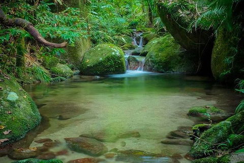 SHUTTLE - Mossman Gorge & Cooya Beach From Port Douglas (Return Transfer) - Tourism Brisbane 2