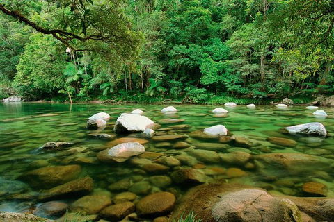 SHUTTLE - Mossman Gorge & Cooya Beach From Port Douglas (Return Transfer) - Tourism Brisbane 3