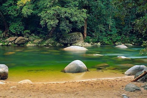 SHUTTLE - Mossman Gorge & Cooya Beach From Port Douglas (Return Transfer) - Tourism Brisbane 1