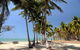 SHUTTLE - Thala Beach And Turtle Cove From Port Douglas (Return Transfer) - thumb 2