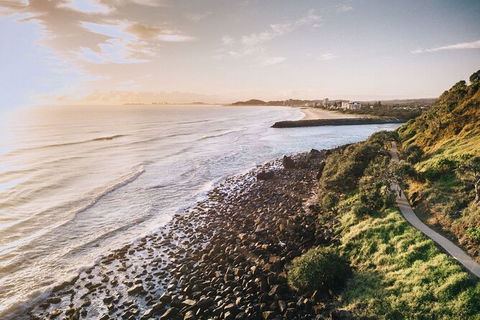 PADI Diving Courses On The Gold Coast - Tourism Brisbane 2