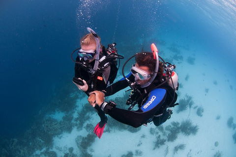 PADI Diving Courses On The Gold Coast - Tourism Brisbane 5