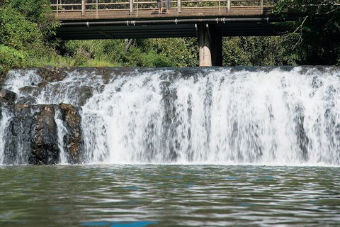 Tablelands Food & Wine Tour - Brisbane Tourism 6