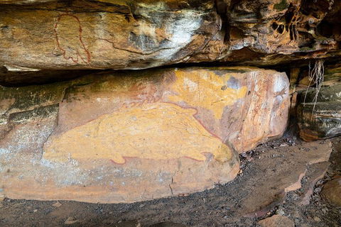 Half Day Aboriginal Rock Art Experience In Queensland - Brisbane 4u 3