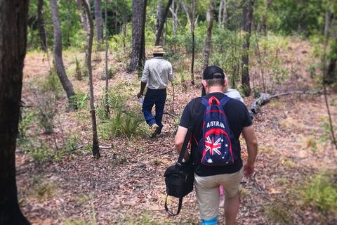 Half Day Aboriginal Rock Art Experience In Queensland - Brisbane 4u 5