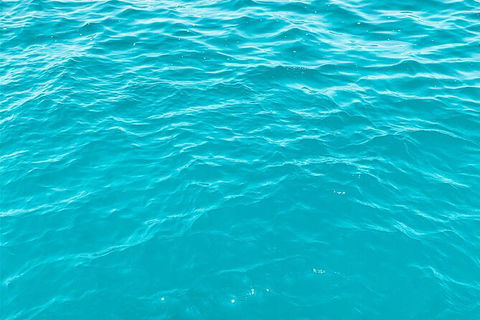 5 Night Bareboat Onboard Cattitude - Tourism Brisbane 2