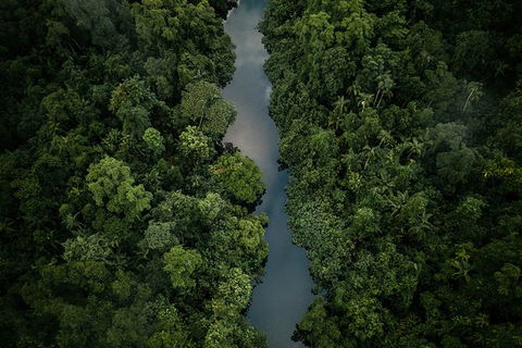 World Heritage Highlights: Reef/Daintree/Cape Tribulation - Tourism Brisbane 10