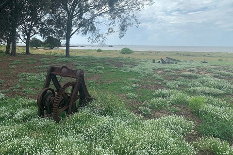 Half Day St. Helena Island Tour - Brisbane Tourism 1