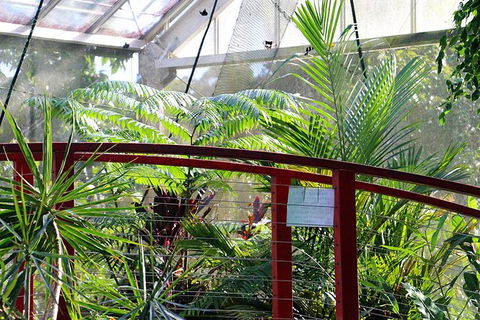 Australian Butterfly Sanctuary- Virtual Interactive Tour With Private Guide - Tourism Brisbane 2