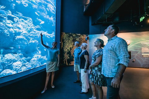 Cairns Aquarium By Twilight With 3 Course Dinner - Brisbane Tourism 0