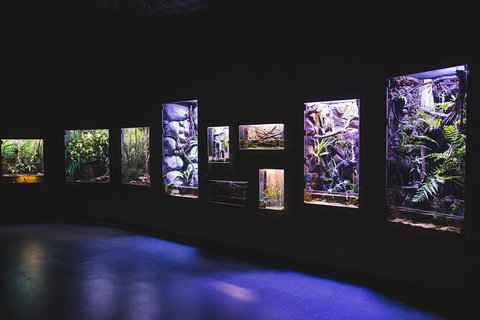 Cairns Aquarium By Twilight With 3 Course Dinner - Brisbane Tourism 3