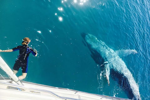 Remote Fraser Island & Whale Experience - Brisbane Tourism 4