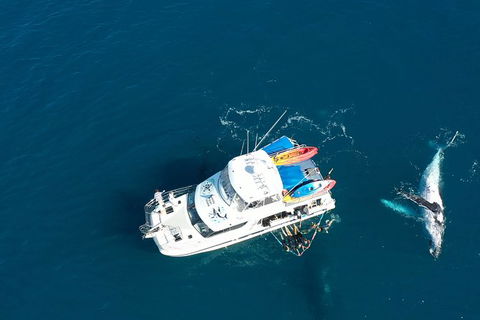 Remote Fraser Island & Whale Experience - Brisbane Tourism 1