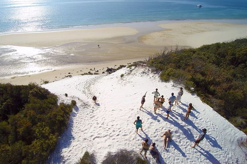 Remote Fraser Island & Whale Experience - Brisbane Tourism 2