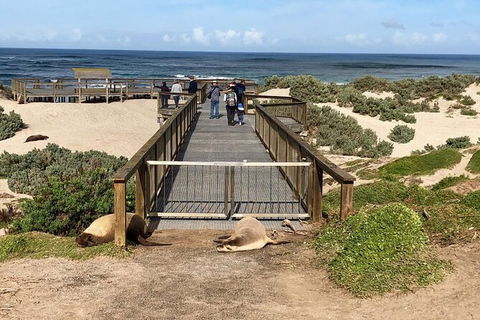 Kangaroo Island 4wd - Best Of KI - Tourism Brisbane 6