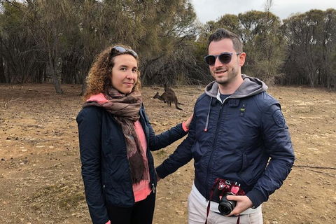 Kangaroo Island 4wd - Best Of KI - Tourism Brisbane 2