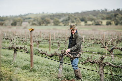 Armagh Vineyard Exclusive Wine Experience And Lunch - Brisbane Tourism 0