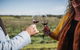 Armagh Vineyard Exclusive Wine Experience And Lunch - thumb 1