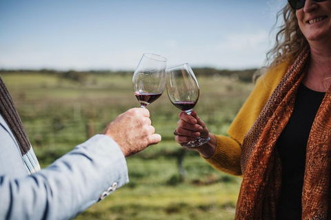 Armagh Vineyard Exclusive Wine Experience And Lunch - Brisbane Tourism 1