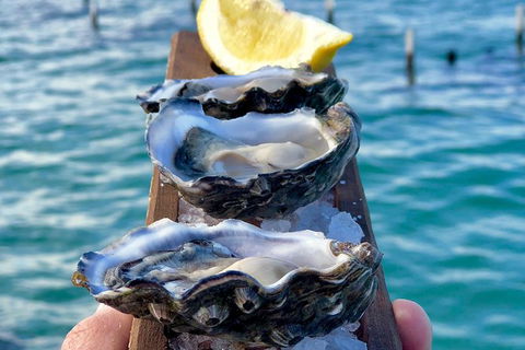 Coffin Bay Oysters, Ocean & Nature Tour - Tourism Brisbane 0