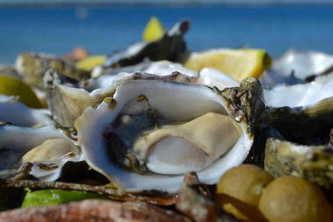 Coffin Bay Oysters, Ocean & Nature Tour - Tourism Brisbane 8