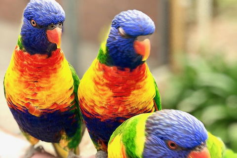 Coffin Bay Oysters, Ocean & Nature Tour - Tourism Brisbane 9