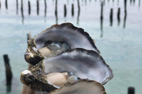 Coffin Bay Oysters, Ocean & Nature Tour - Tourism Brisbane 6