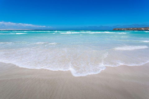 Coffin Bay Oysters, Ocean & Nature Tour - Tourism Brisbane 14