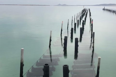 Coffin Bay Oysters, Ocean & Nature Tour - Tourism Brisbane 15
