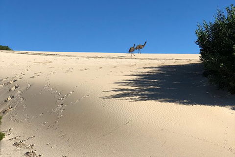 Coffin Bay Oysters, Ocean & Nature Tour - Tourism Brisbane 4