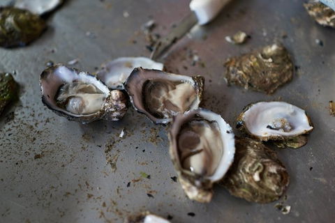 Fine Flavours - Full Day Kangaroo Island Food & Wine Tour - Brisbane Tourism 10