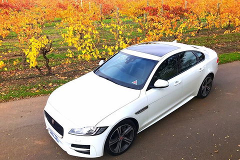 Luxury Jaguar Barossa Valley Half Day Private Tour For 2 - Brisbane Tourism 2