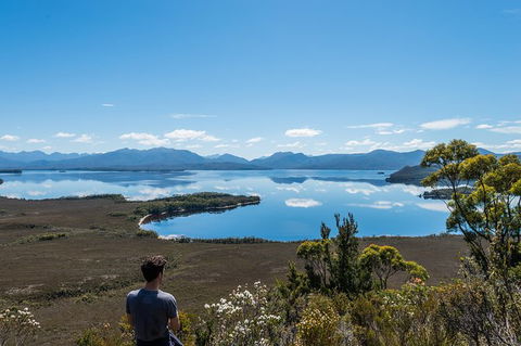 Southwest Tasmania Wilderness Experience: Fly Cruise And Walk Including Lunch - Tourism Brisbane 2
