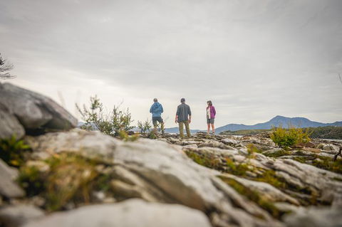 Southwest Tasmania Wilderness Experience: Fly Cruise And Walk Including Lunch - Tourism Brisbane 5