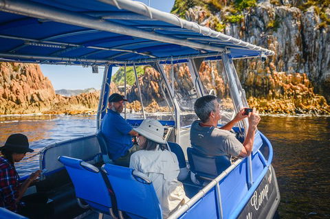 Southwest Tasmania Wilderness Experience: Fly Cruise And Walk Including Lunch - Tourism Brisbane 11