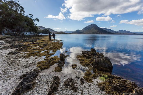 Southwest Tasmania Wilderness Experience: Fly Cruise And Walk Including Lunch - Tourism Brisbane 10