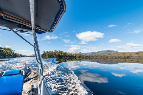 Southwest Tasmania Wilderness Experience: Fly Cruise And Walk Including Lunch - Tourism Brisbane 13