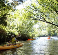 Paddle with the Platypus Twilight Kayak Adventure - Brisbane Tourism