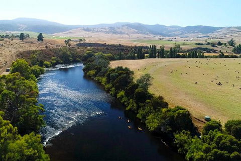 Paddle With The Platypus Twilight Kayak Adventure - Tourism Brisbane 6