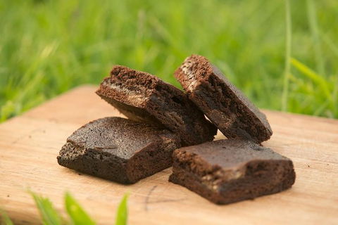 Paddle With The Platypus Twilight Kayak Adventure - Tourism Brisbane 4