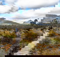 Cradle Mountain Day Tour - Tourism Brisbane