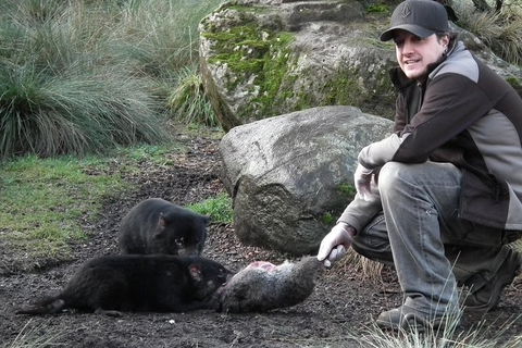 After Dark Tasmanian Devil Feeding Tour At Cradle Mountain - Tourism Brisbane 0