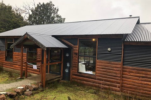 After Dark Tasmanian Devil Feeding Tour At Cradle Mountain - Tourism Brisbane 6