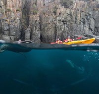 Tasman Peninsula full day kayaking tour - Brisbane Tourism