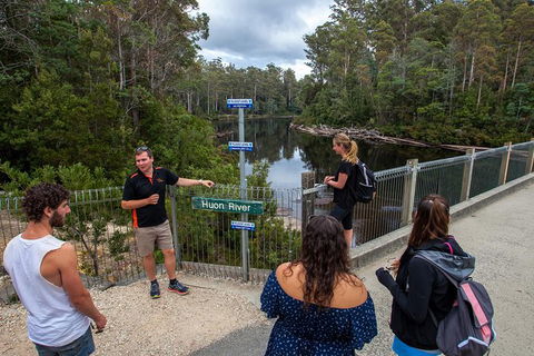 Tahune Airwalk Active Day Trip From Hobart Including Hastings Caves - Tourism Brisbane 3